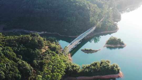 中山最美公路