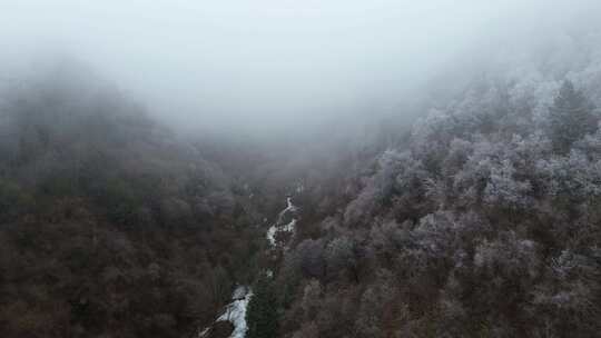 四川阿坝九寨沟县黄土梁隧道杜鹃山冬日