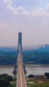 航拍江西赣州特大桥交通竖屏视频