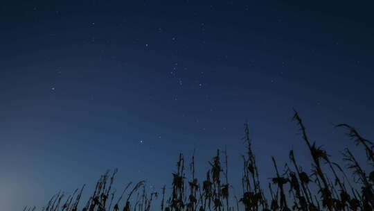 农田星空