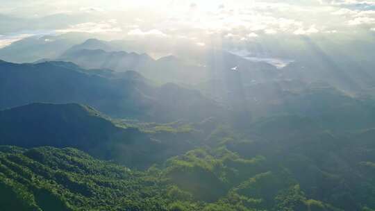 海南五指山热带雨林国家森林公园日出云海