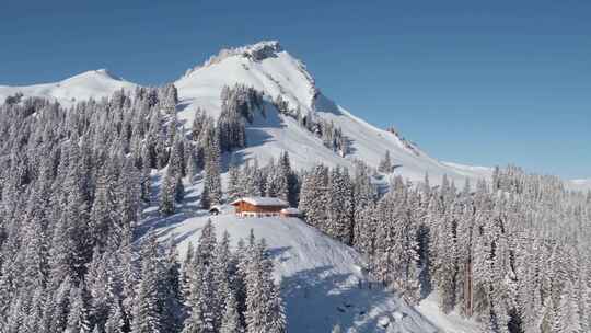 高山小屋，山脉，树木，雪