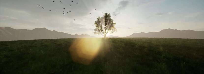 阳光光线穿过树山丘上的一棵树高山山峰飞鸟