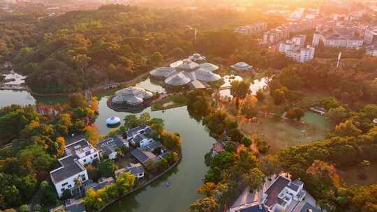 4K航拍华南国家植物园