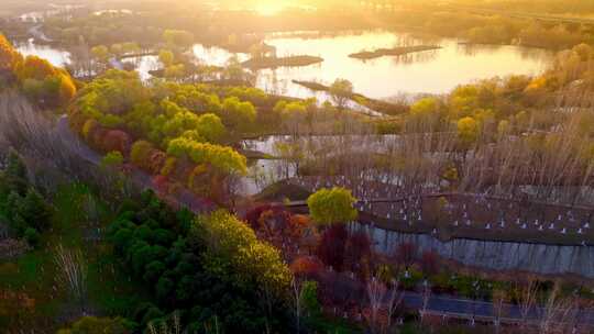 西安渭河浐灞湿地公园秋景