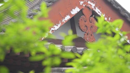 寺庙古建筑屋檐树叶前景小鸟飞走实拍空镜