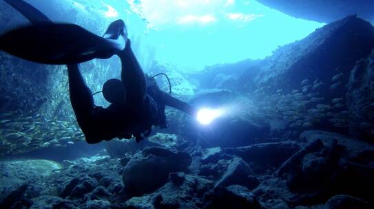 海底 洞穴 潜水员 鱼群 跟拍