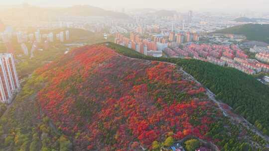 4k航拍山东济南蝎子山秋景