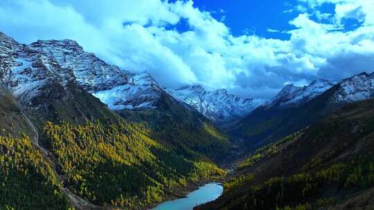 雪山下多彩树林的壮丽景观