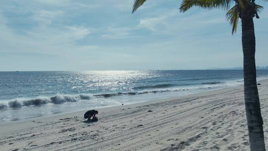 海南椰林阳光沙滩航拍