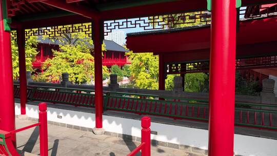 航拍秋日里的南京毗卢寺风光