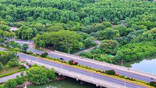 惠州大亚湾红树林公园城市中的绿地与高楼