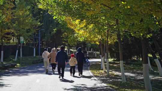 秋天走路行人 公园人物生活背影一家人