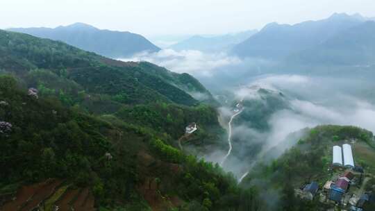 陕西秦岭镇安县海棠山