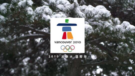 北京冬奥会旗帜
