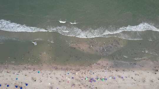 夏天海滩与戏水游客航拍