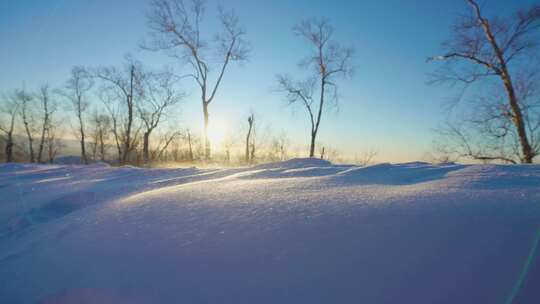 林海雪原冰天雪地