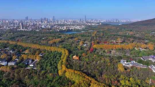 江苏南京灵山风景区前湖秋天秋色航拍