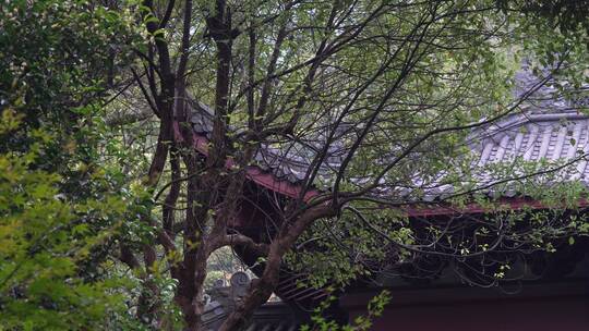 杭州飞来峰永福寺禅院风景