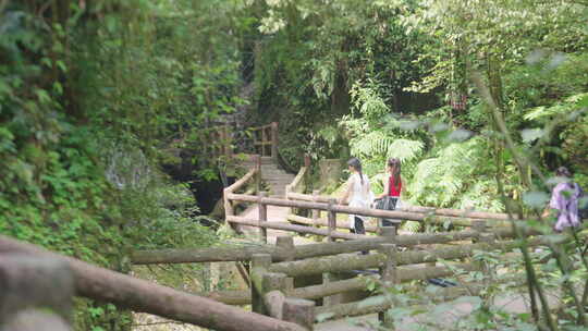 青城山古道 栈道