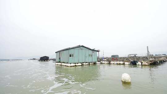 黄鱼养殖场视频素材模板下载