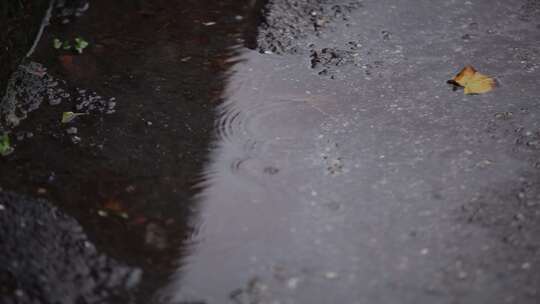 雨水落在街上的水坑里