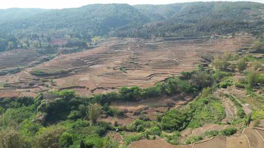 云南山区农业种植耕地航拍