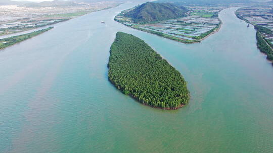 4k森林资源防风固沙水松林航道航拍