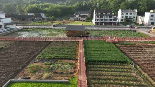 航拍福建宁德福鼎太姥山海上仙山风光