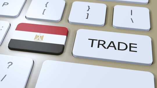 按钮3D动画上的埃及国旗和贸易文本