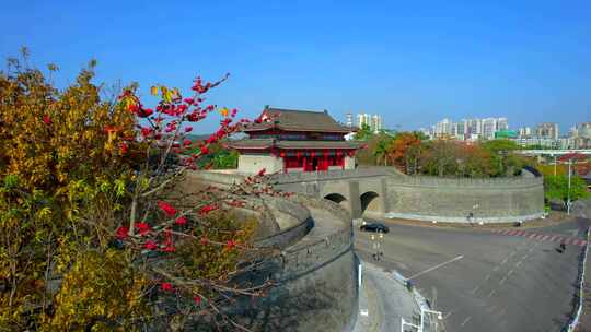 朝京门木棉花环绕大景