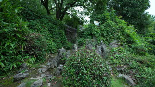 武汉东湖磨山景区盆景园