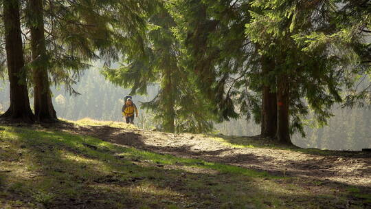 背着背包的男人在美丽的森林里旅行