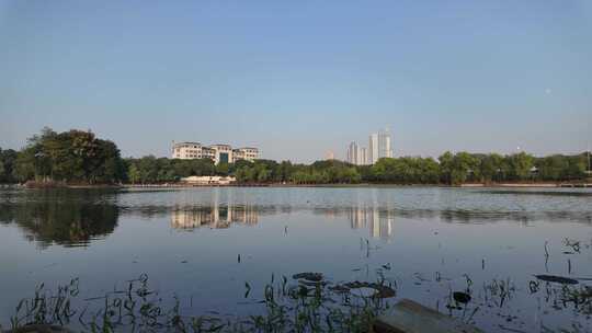 湖南大学湖边风景移动延时摄影