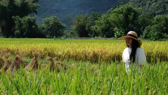 一位亚洲女性走在美丽的稻田里