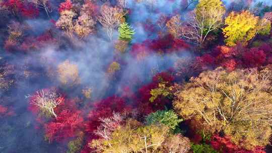 4K秋天五花山吉林东北秋景日出云海云雾逆光