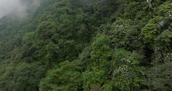 四川邛崃天台山航拍高山云雾风景