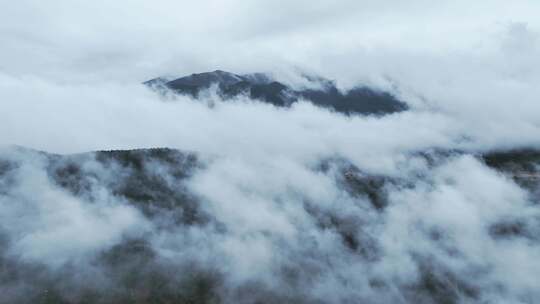 无人机航拍西藏林芝秋天高山林海云雾景观