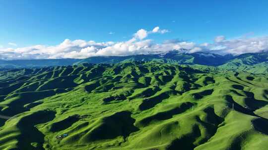 新疆大草原伊犁恰西大草原那拉提