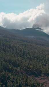 拉帕尔马，坎布雷维耶哈，熔岩，火山河