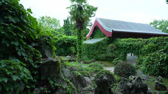 武汉东湖磨山景区盆景园