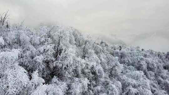 西岭雪山 雪景 大雪覆盖的自然风光 航拍