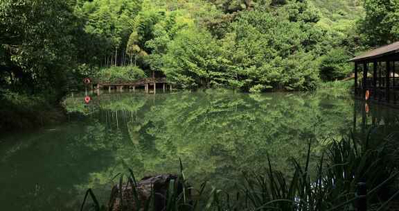 美丽的湖水绿色森林景观 常熟虞山宝岩景区