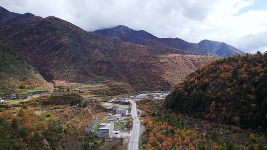 川西康定山川金黄色的秋天航拍