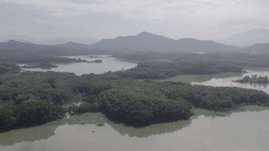 海南五指山周边水系 4K灰片