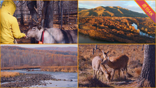 内蒙古晚秋风光电影质感文旅宣传长合集