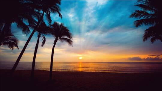 大自然美丽的海边日落视频素材模板下载