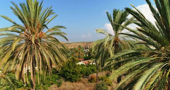 无人机白天带着云飞过棕榈树和房屋。塞浦路斯岛。