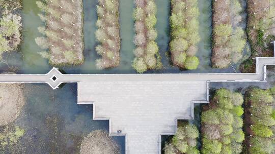 苏式园林九曲桥人文景观设计