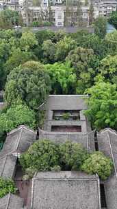 四川眉山三苏祠竖版航拍